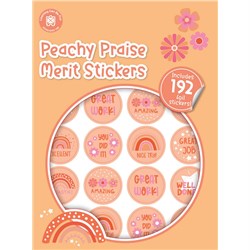 Peachy Praise Merit Sticker Book